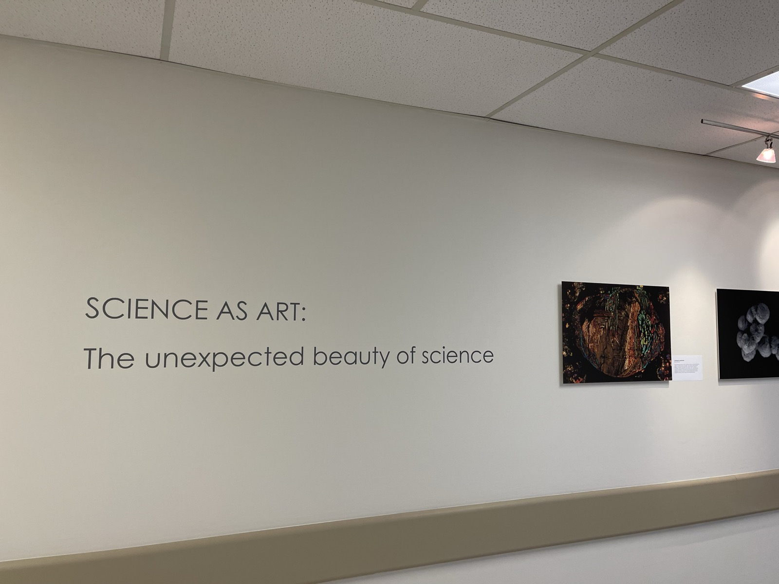 Gallery title card or display label for the SERCA science-as-art piece